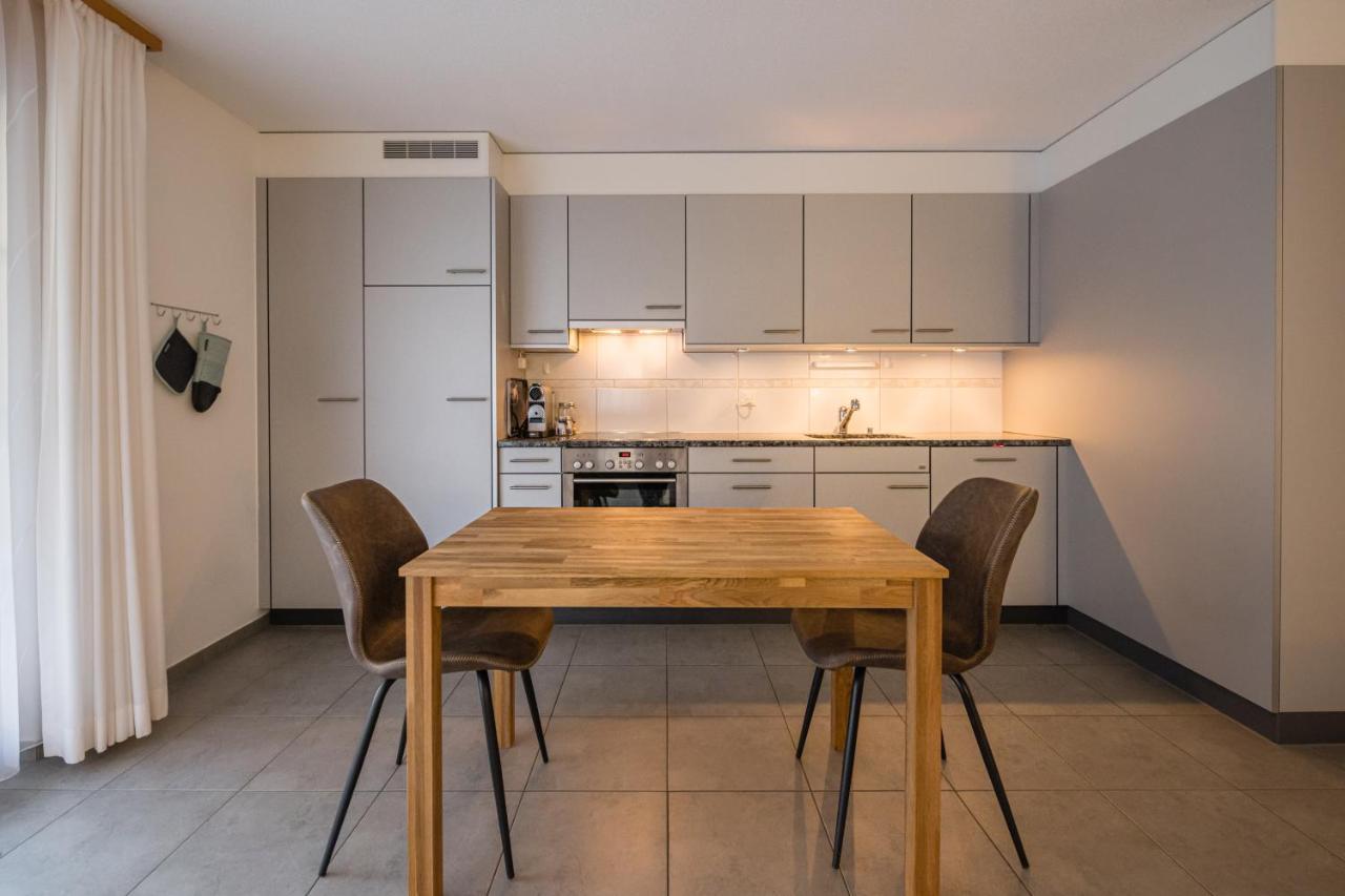 Apartment Truemmelbach, Comfortabl & Cozy, Private Terrace With Best Views Lauterbrunnen Buitenkant foto